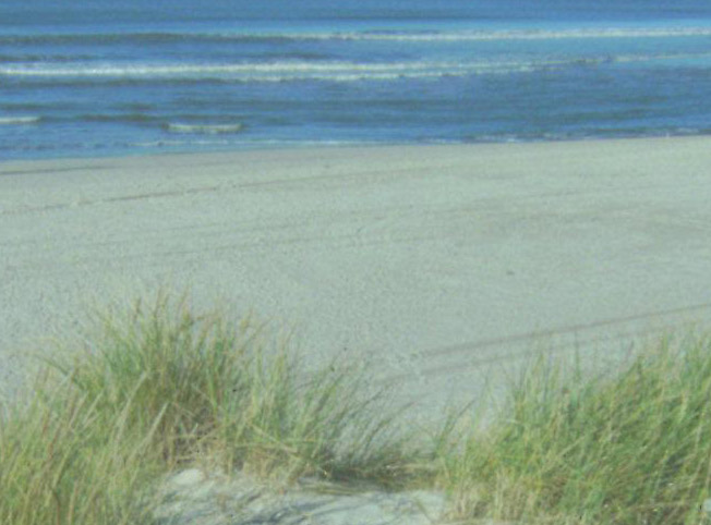 Nordsee Strand Dänemark Holmsland Klit Nordsee Strand Dänemark Holmsland Klit