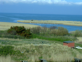 Westjütland Rinköbingfjord in Dänemark