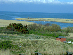 Westjütland Rinköbingfjord in Dänemark Westjütland Rinköbingfjord in Dänemark