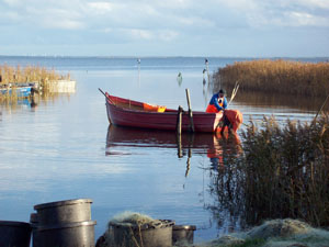 Ein Fischer im Hafen - Ringköbingfjord - Dänemark