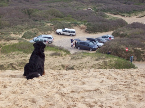 Na, wer parkt denn da?