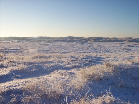 friedliches Land
